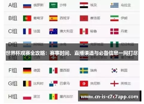 世界杯观赛全攻略：赛事时间、直播渠道与必备信息一网打尽
