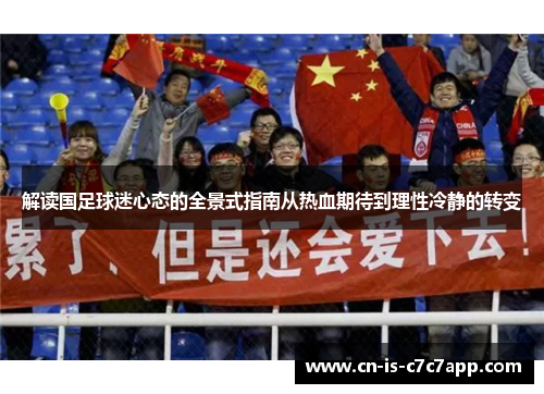 解读国足球迷心态的全景式指南从热血期待到理性冷静的转变