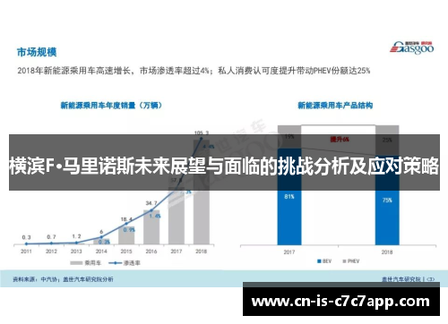 横滨F·马里诺斯未来展望与面临的挑战分析及应对策略 横滨F·马里诺斯未来展望与面临的挑战分析及应对策略