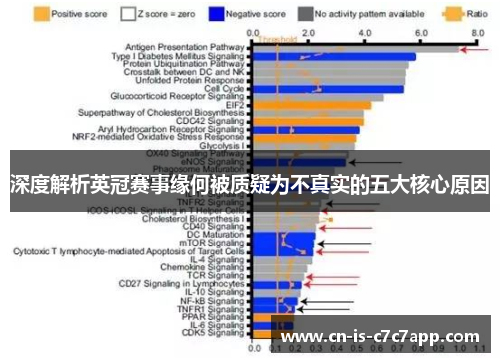 深度解析英冠赛事缘何被质疑为不真实的五大核心原因 深度解析英冠赛事缘何被质疑为不真实的五大核心原因